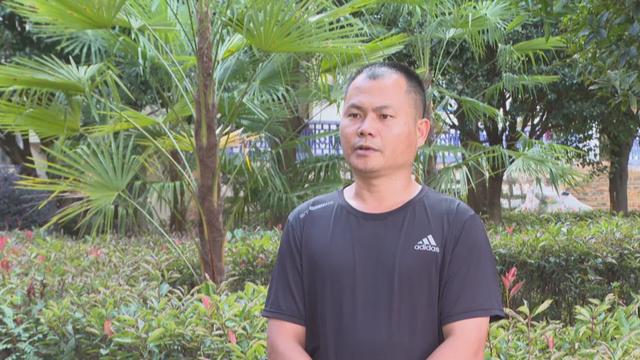 弥勒这花海美景又上线了！产值数千万元
