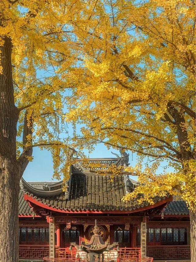 阿锡，赏秋正当时，你我皆风景！