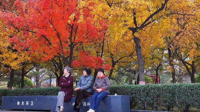 神木滨河新区秋色如画 邂逅诗意生态美景