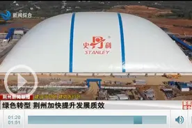绿色转型 荆州加快提升发展质效图片