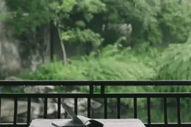 一口气轻松读完四书五经，精华都在这里图片