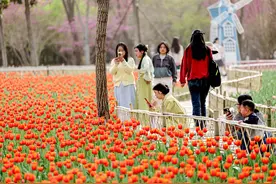 春日限定！郑州绿博园“焕彩问花季” 解锁烂漫时光图片