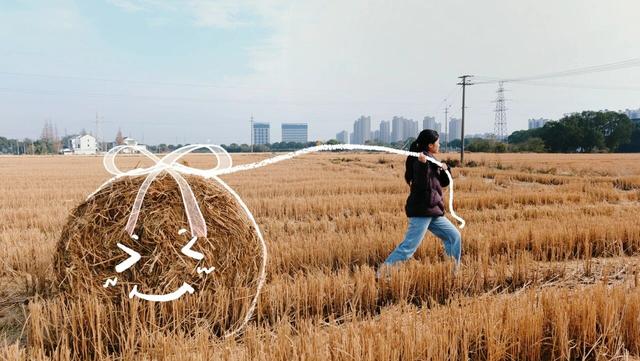 快来打卡！金山的“瑞士卷”火了