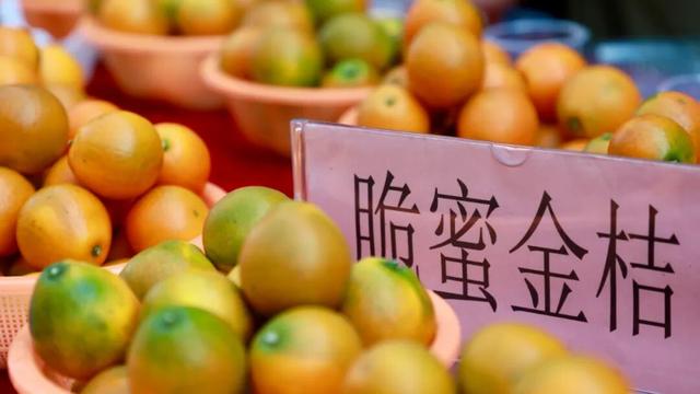 C位出道！大将镇金桔王新鲜出炉！