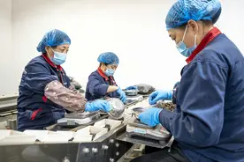 中医药强市看太原①｜乘势而为，中医药产业提档升级图片