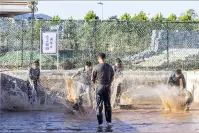 泰山科技学院位居同类高校全国前三，山东第一图片