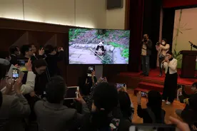日本东京都副知事：每只大熊猫都受到广大日本民众的喜爱图片