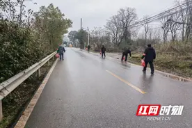荷塘区仙庾镇开展学雷锋活动图片