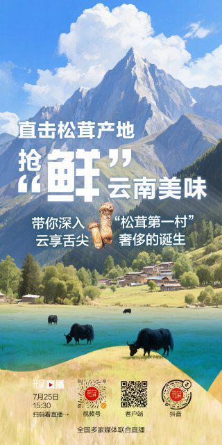 解锁“世界松茸第一村”，总共需几步？