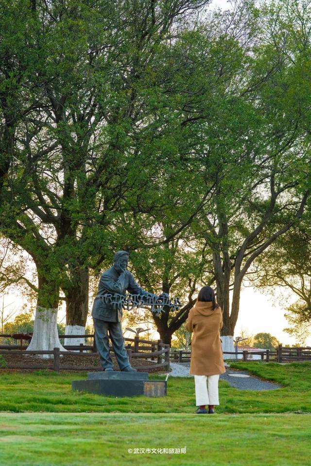 武汉为百年古树建公园，免费开放！