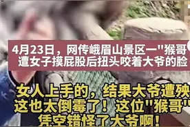 阿姨摸猴屁股大爷“躺枪”被咬？峨眉山景区回应：近期无此事图片