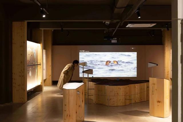 连休五天，浙L大部队已到……