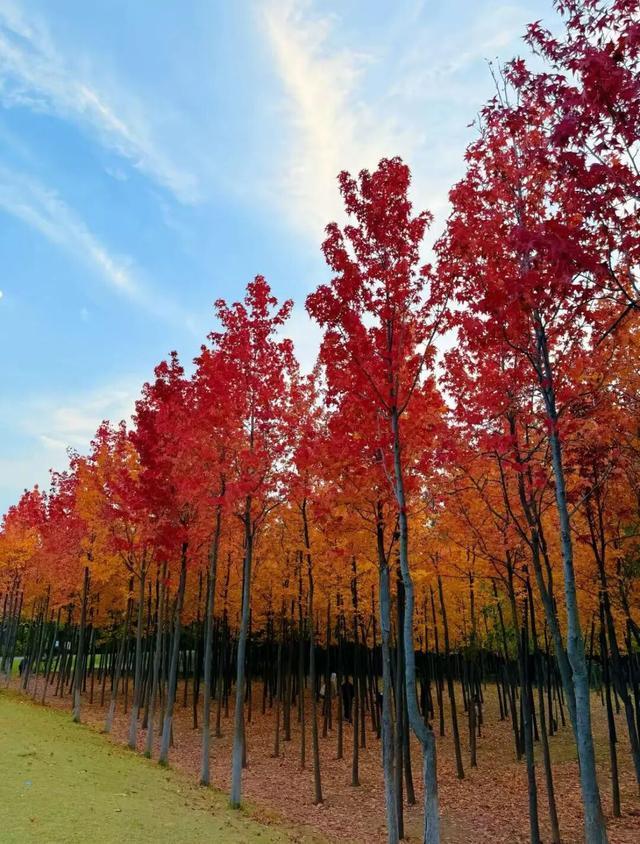 听说周末的石门坊挤爆了？哎，我有一计！