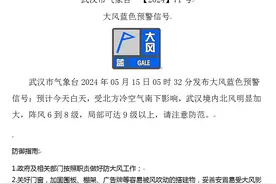 9级大风，武汉今晨发布蓝色预警！图片