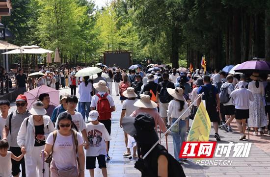 张家界国家森林公园天子山游人如潮 （组图）