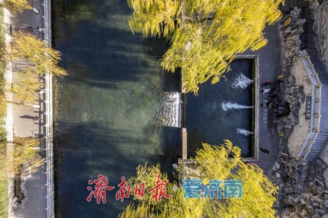 一年四季 泉在济南丨护城河畔诗意浓 晴光倾洒柳轻拂