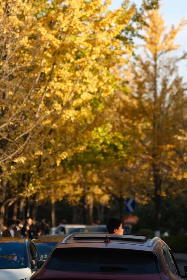 美翻了！南湖，正是红橙黄绿时