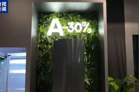 总台记者探访丨2024年柏林国际消费电子展开幕图片