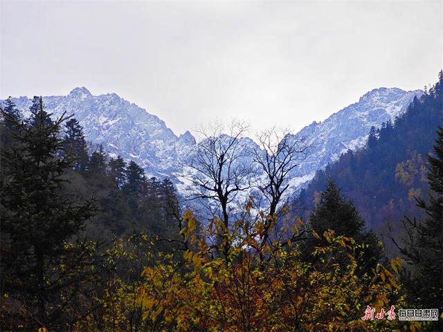 秋染官鹅沟 醉在山水间