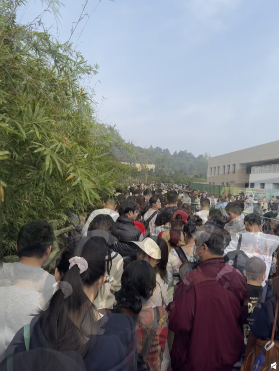 啥情况？“今天的南京，感觉有一亿人”