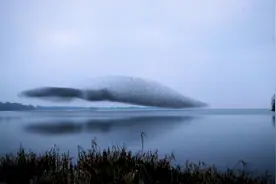 快看！成都刮起了“鸟卷风”图片