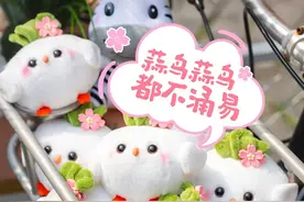 火爆全网的“蒜鸟”，又出新款了！图片