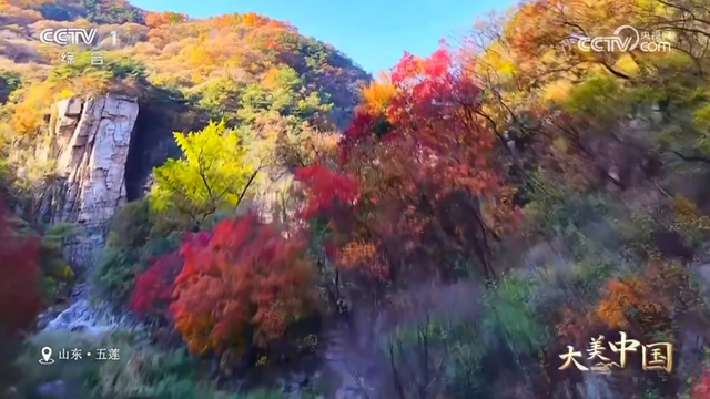 惊艳！日照初冬美景又双叒叕上央视啦！