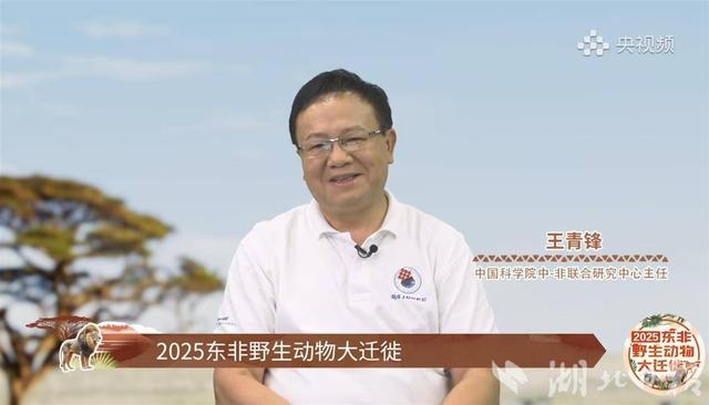 武汉专家参与东非草原年度动物迁徙“大片”
