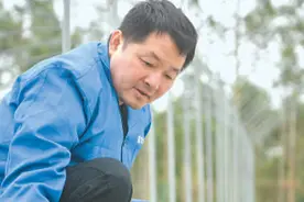 从“看天育秧”到“车间造苗”（春耕进行时）图片