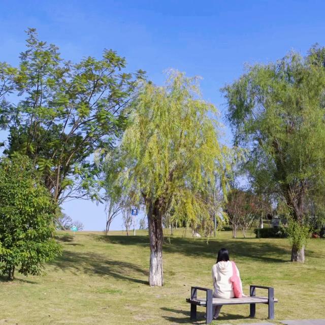 新津人速藏！冬日公园晒太阳的神仙去处