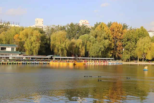 不必扎堆地坛公园！东城区赏秋攻略，一图收藏