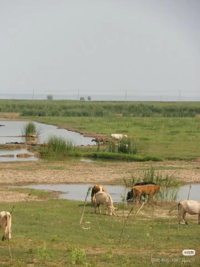 立冬第一游去哪里？淮安5处目的地，这个时节美翻了！