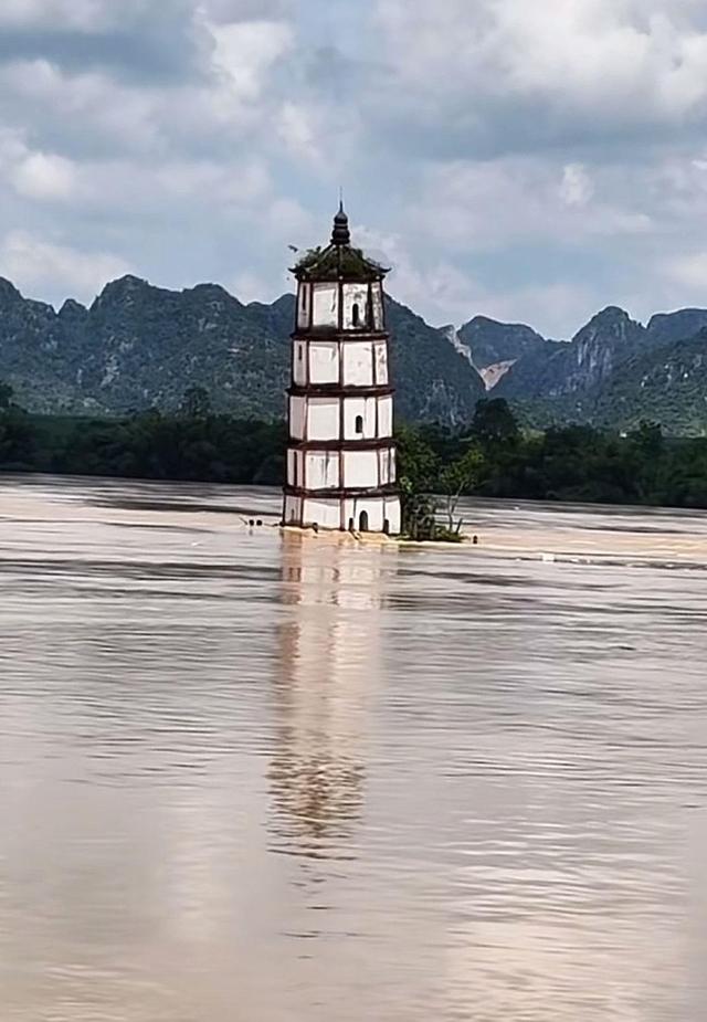 广西左江斜塔洪水中岿然不动