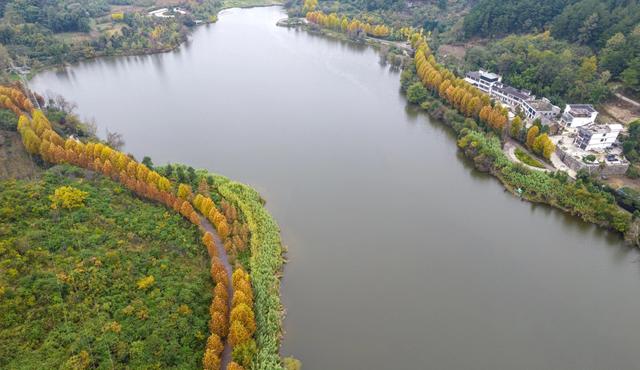 天眼影像|黔西:湿地公园冬景美