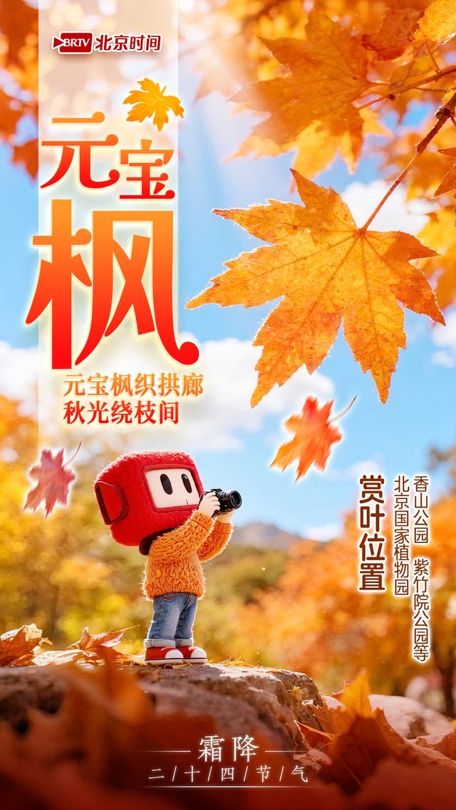 霜降踏京秋 一叶一风光｜8种彩叶绘就北京多彩又诗意的秋