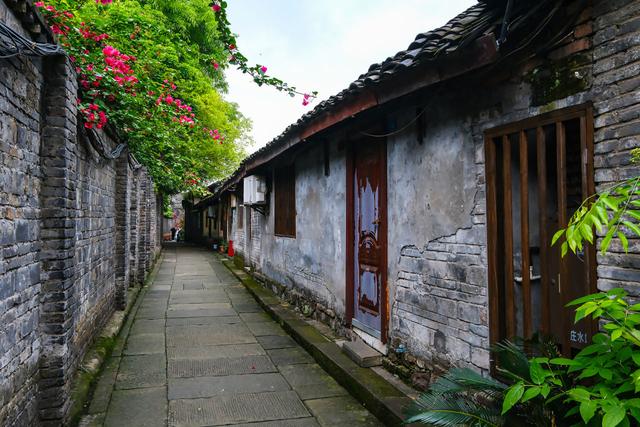 同舟共济：在路上的同济大学