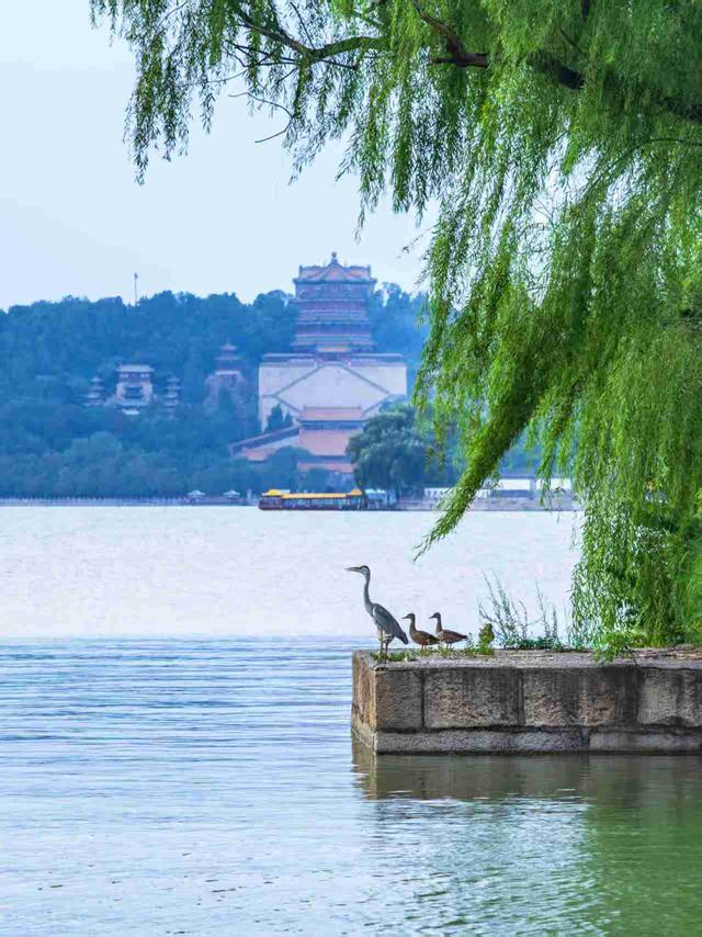 京城拍客今日精选｜时光流转秋风爽 “钢铁选手”望未来