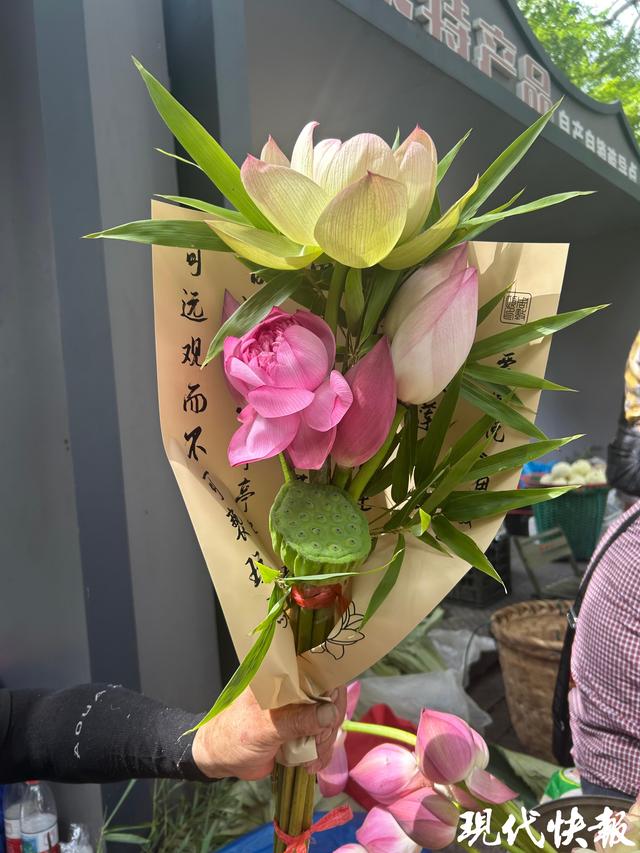 苏州荷花市集火出圈，背后有最动人的温情