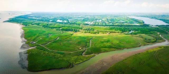 崇明这条生态研学路线，走起！