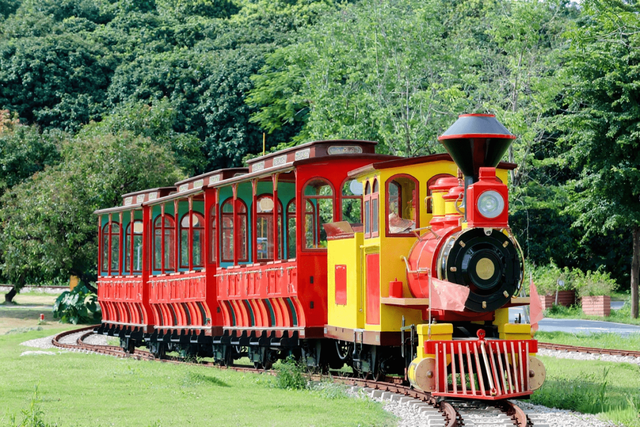 藏不住了！马岭千亩花海美成童话，福利门票免费送~
