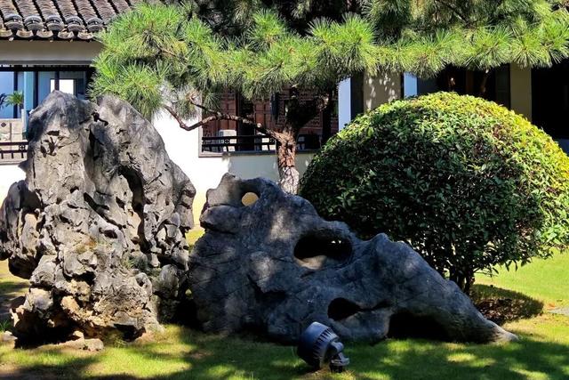 欢迎走进愚园的假山秘境→