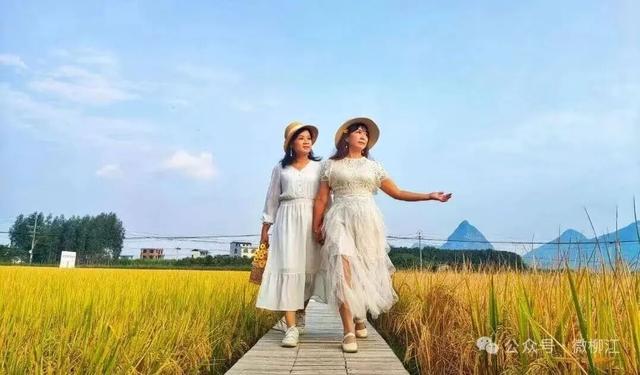 刚开学就想放假？打工人想“去班味”？快来柳江纳凉出片赏美景、吃喝玩乐悦身心