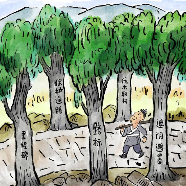 四川安逸入画｜翠云廊