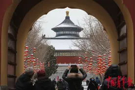 龙年初雪至 市民游客踏雪游天坛图片
