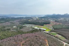 “2025贵州·清镇樱花跑”鸣枪开跑图片