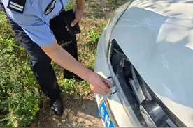 一块碎片 3个小时 “拼”出真相图片