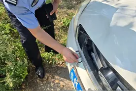 一块碎片 3个小时 “拼”出真相图片