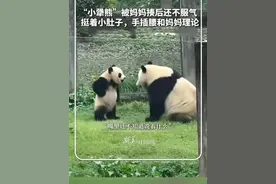“小犟熊”被妈妈揍后不服气 网友：这“熊样”像极了小时候不服管教的我图片