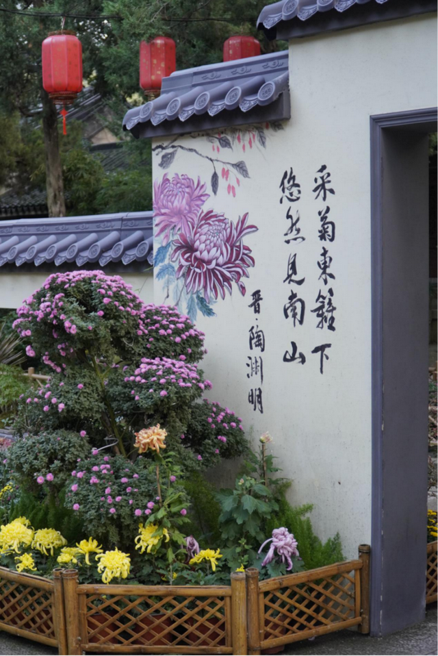 从站台到风景→无锡冬日最美交通线