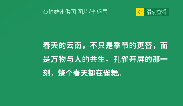 中国“旅居”天花板，为什么还得是云南？